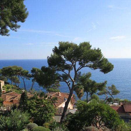 Les Bruyeres Bed & Breakfast Saint-Mandrier-sur-Mer Ngoại thất bức ảnh